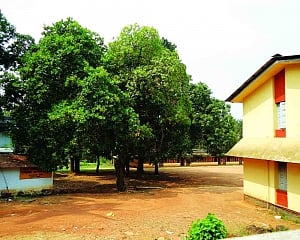 Education is next calamity in making