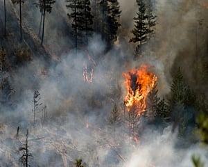 Evacuations lifted for thousands in Tahoe as wildfire stalls