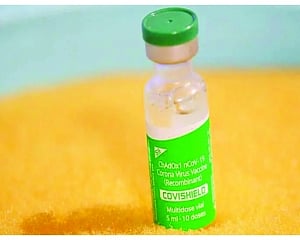 Even 1 dose of Covishield makes antibody for a year