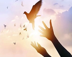 Forgiveness & Peace
