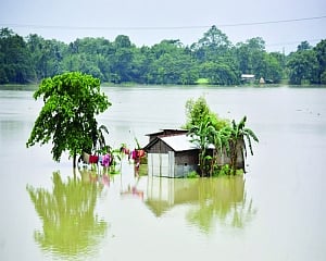 Gender and Disasters: The India story