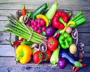 Going Organic: A leap towards ecosystem restoration