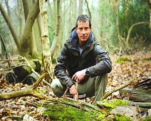 Lessons from the wild