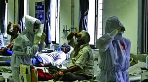 More fatal fungus Candida auris’ threat looms large