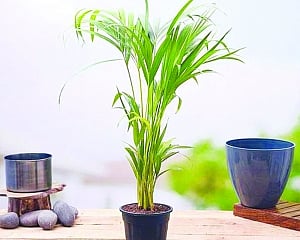 NatureTalk