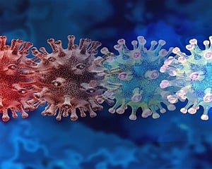 New COVID-19 variant with high spike mutations confirmed in South Africa