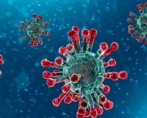 New Covid variant, C.1.2, may be more infectious, evade vaccine protection: Study