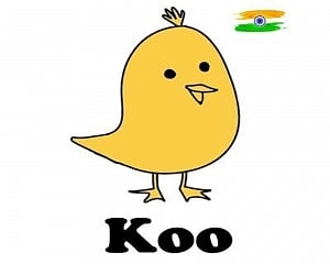 New IT rules: Koo removes 2,385 accounts in July