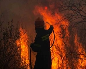 One dead, over 40 injured in wildfires near Athens