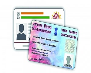 Red-faced: IBBI posts PAN, Aadhaar info