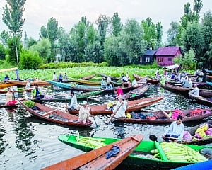 Srinagar emerges terror hotspot amid dip in violence in J&K
