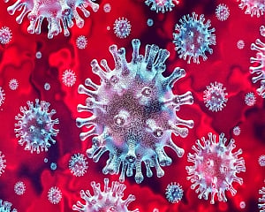 Study sheds light on coronavirus evolution during treatment of chronic infection