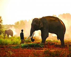 Sustaining people and planet