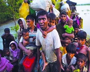 The Rohingyas must go back from India