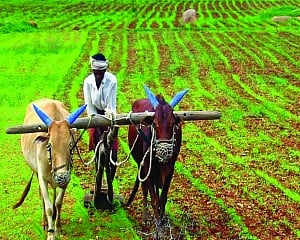 The story of policies and farmers working together