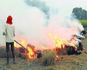 Village-level leaders can help tackle stubble burning