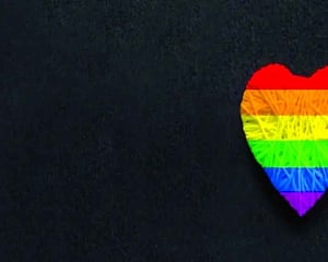 Working towards an ideal rainbow workplace
