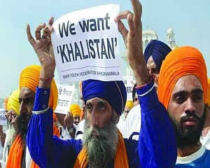 Youth and radicalism: Search for cannon fodder