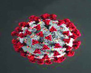Zapping the virus