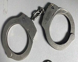 14 Chinese nationals staying illegally in country detained: Officials