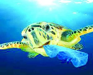 2% of all fishing gear  ends up on ocean floor