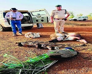 3 cops shot dead by black buck poachers in MP, 2 criminals killed