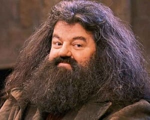 Actor Robbie Coltrane, Harry Potter's Hagrid, dies at 72