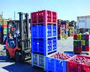 Agri export touches record USD 50 bn mark in 2021-22