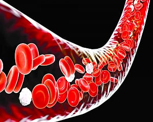 BMT, A Ray of Hope For Blood Cancer Patients