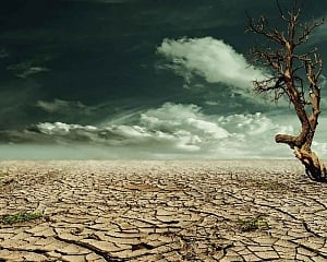 CHANGING MENTAL climate