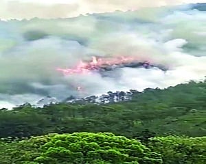China air crash setsÂ  mountain on fire, 132 feared dead