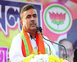 Cow smuggling: Bengal probes Suvendu’s role
