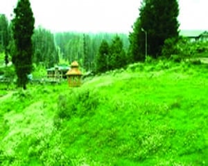 E-way via wildlife sanctuary OK’d  to slash Delhi-Katra travel time