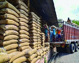 Farmers and FCI need a new regime of MSP