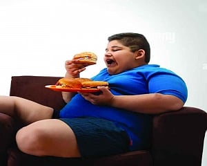 Fat in the fire