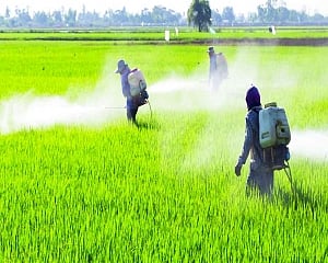 Fertiliser DBT stymied by lobbies for years