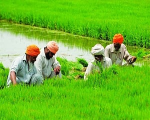 G20 can create value chains led by farmers