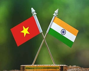 India, Vietnam decide to expand defence & security ties