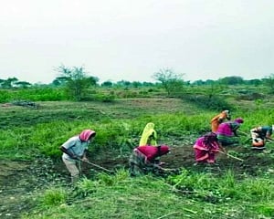 Kick-start economy with migrant workers