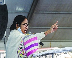 Mamata, Pawar fume at Central agencies’ ‘misuse’