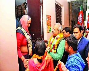 MCD elections