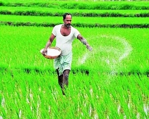 Nano fertiliser move can be a game changer