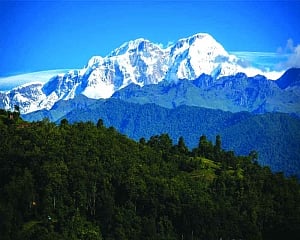 Nature: The Bharatiya Biocentric Discourse