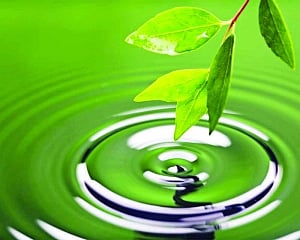 Rhythm of life