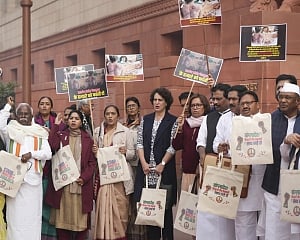 Cong MPs express solidarity with Bangladesh's minorities with message on handbags