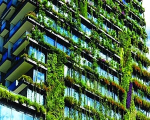 Diverse, climate-responsive design is key to net-zero goals