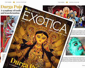 FROM TEAM EXOTICA