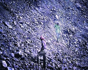 India remains highly dependent on imports of critical minerals: Report