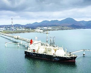 Rising import reliance amid regulatory challenge
