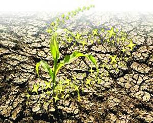 The key to tackling food security and climate change